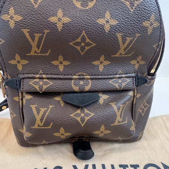 Louis Vuitton Palm Springs Mini Backpack in Monogram - Picture 4 of 16